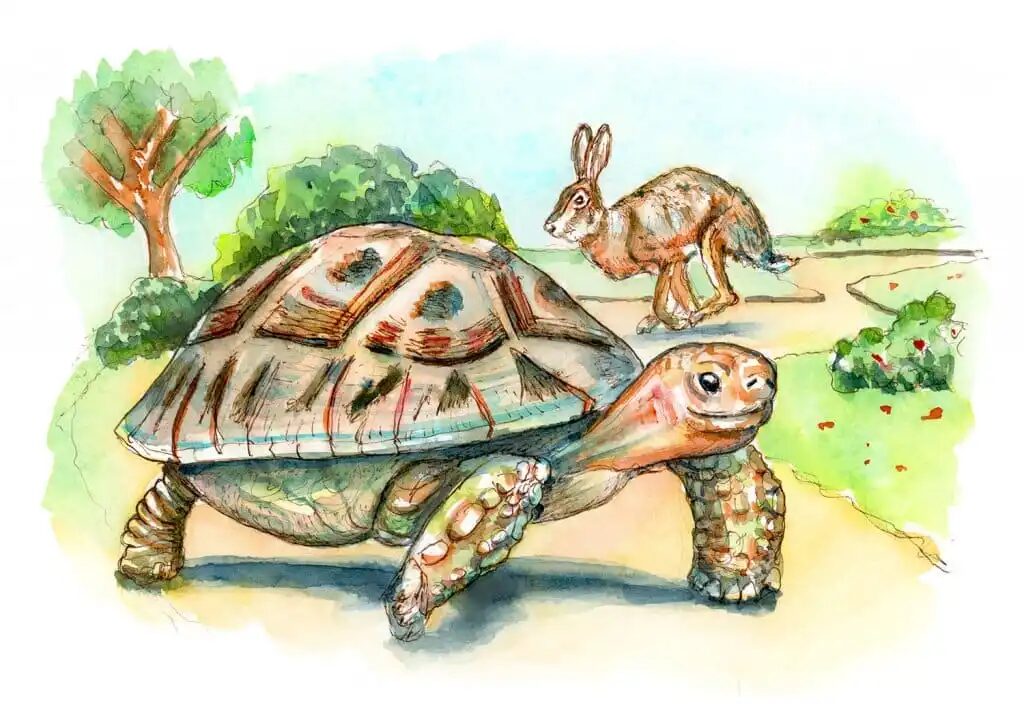 turtle and the hare illustration